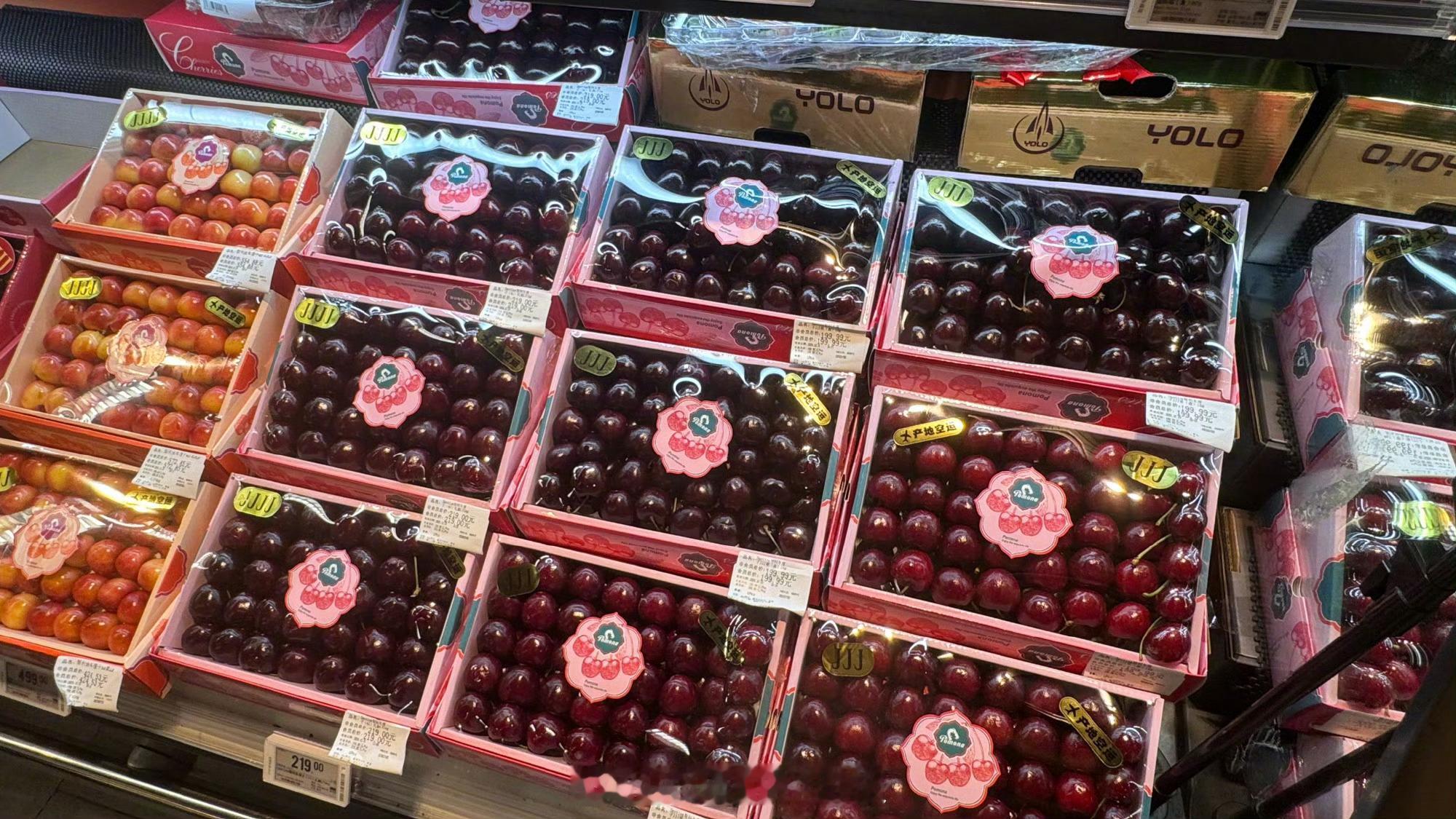 超50万吨车厘子涌入中国好多还是预售，但是预售是真便宜～ 