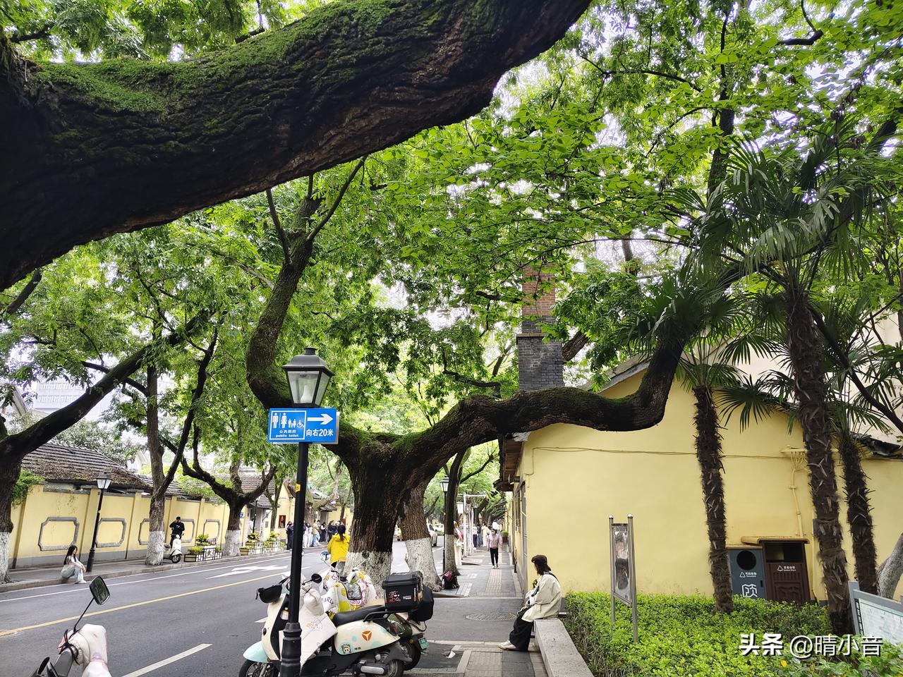 一个江苏lP在我的文章下留言说，安徽人是真喜欢南京。

这话多多少少有一点点不怎