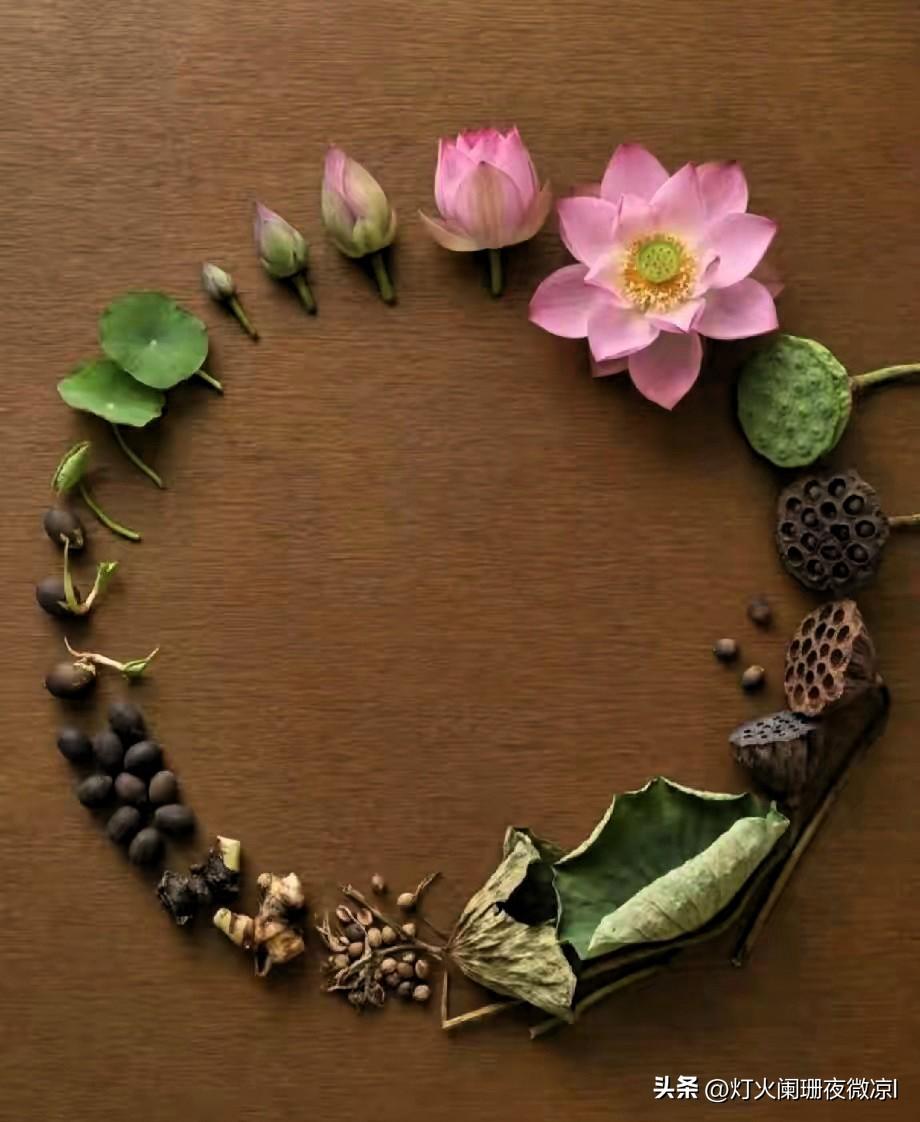 咱俩昨晚上是不是吵架了？

他中午回家提着给我买的饭，先来这么一句。
难道你不记