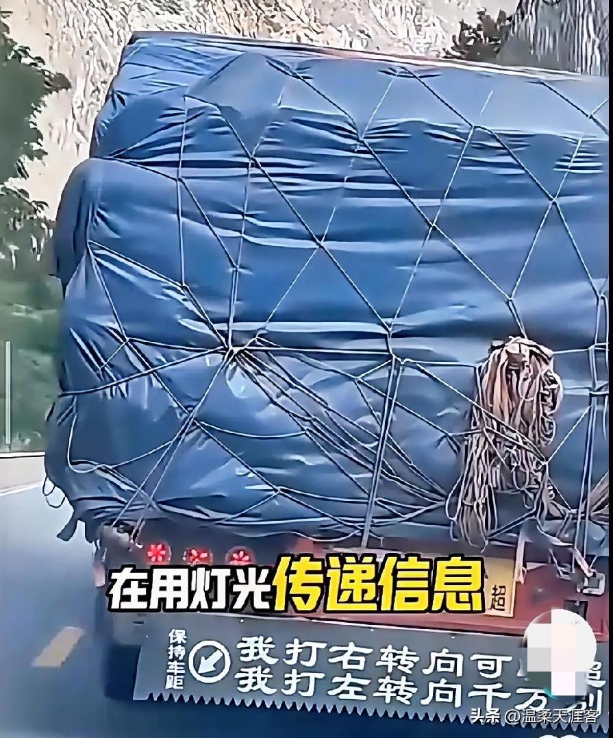 我们平时总说开车一定要远离大货车，就是一旦发生碰撞，往往会造成非常严重的损伤。
