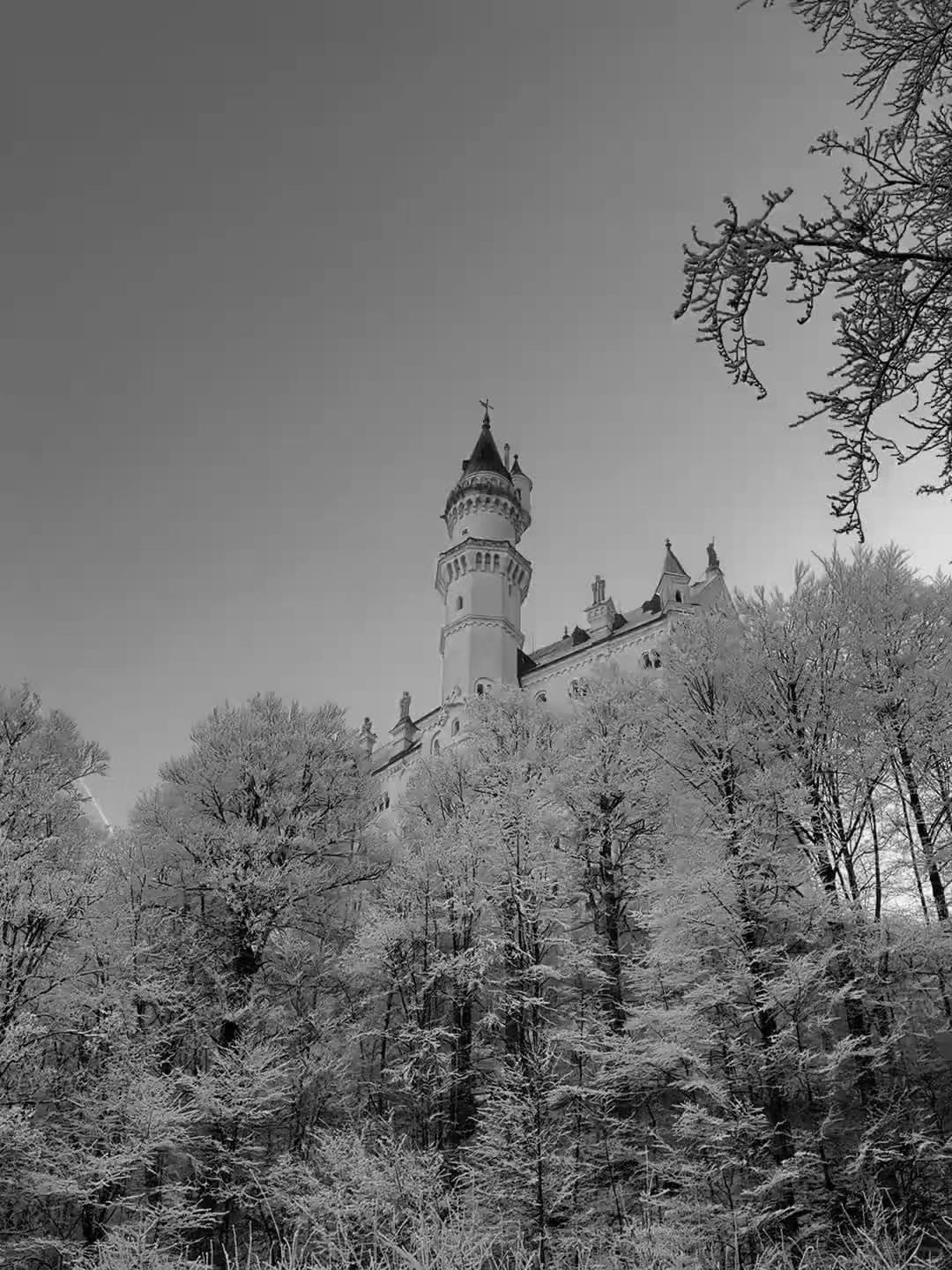 弄哭高冷室友 我爱吃冰棒 双楠主 小说 每日推文