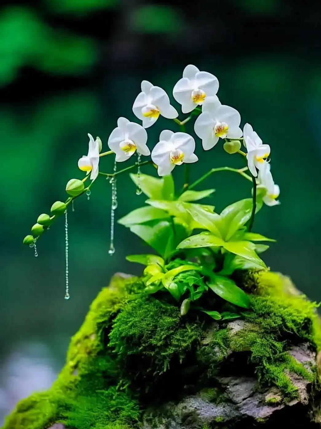 自从辞职不上班
离开了那个勾心斗角的公司
终日守家做头条
我便日日提笔敲字忙
有