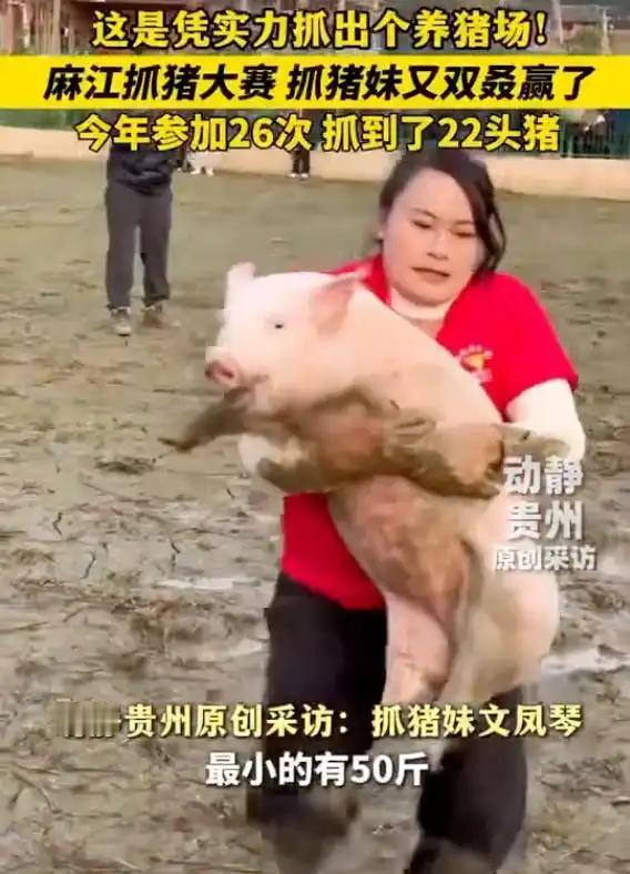 12月26日，在贵州麻江县一场热闹非凡的抓猪大赛现场，随着裁判哨声响起，身形矫健