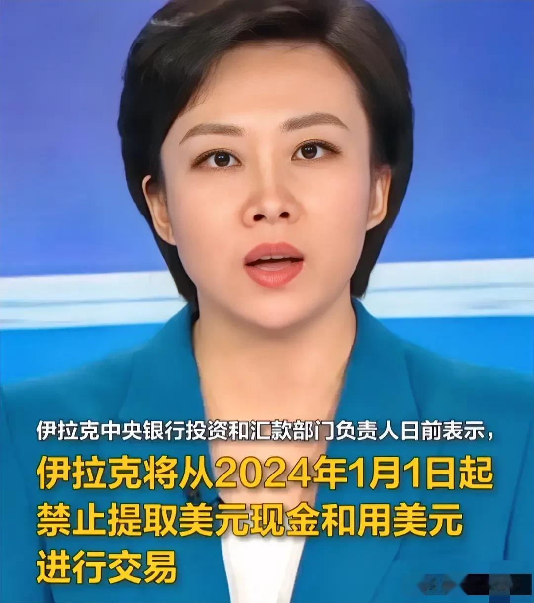 伊拉克：从2024年1月1日起，禁止提取美元现金和用美元进行交易。

如果美国当