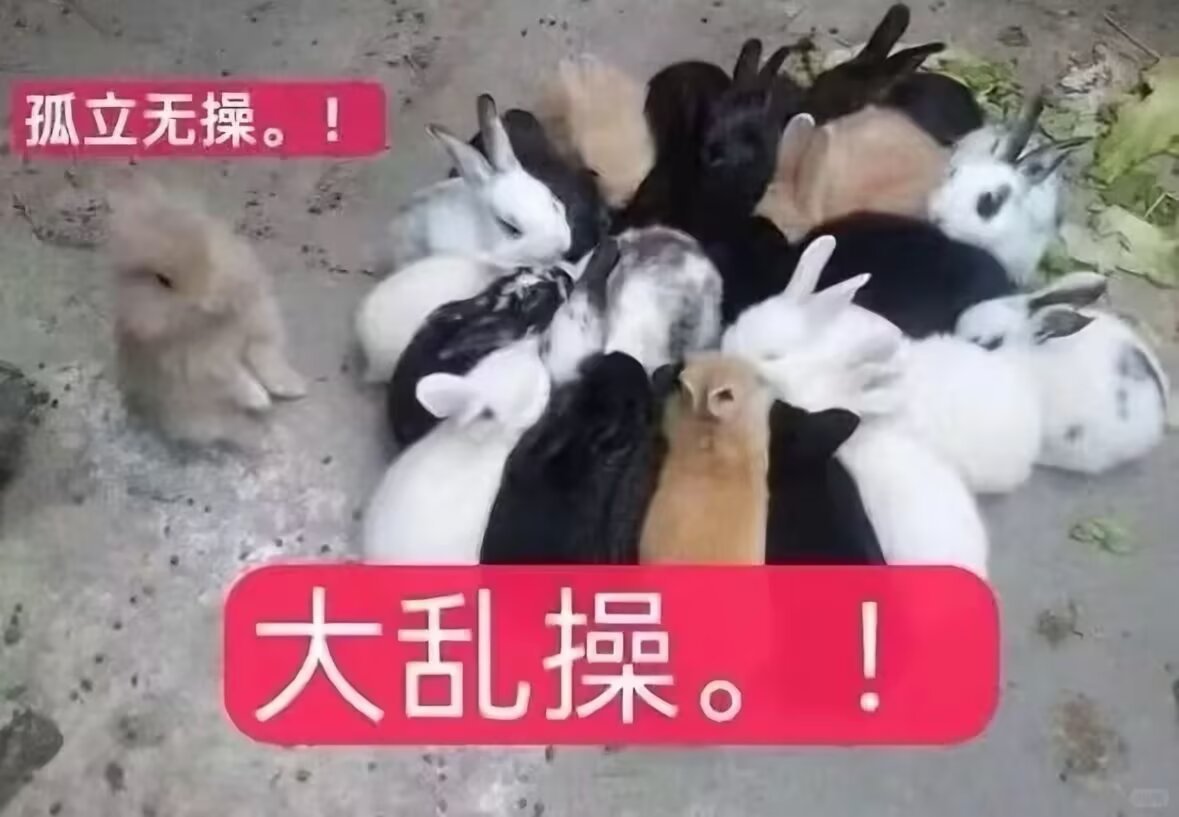 兔兔！ 