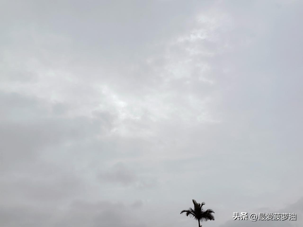 广东多地周六有中雨或大雨！大部市县周日可见阳光，早晚有雾！

21日，粤北和珠江