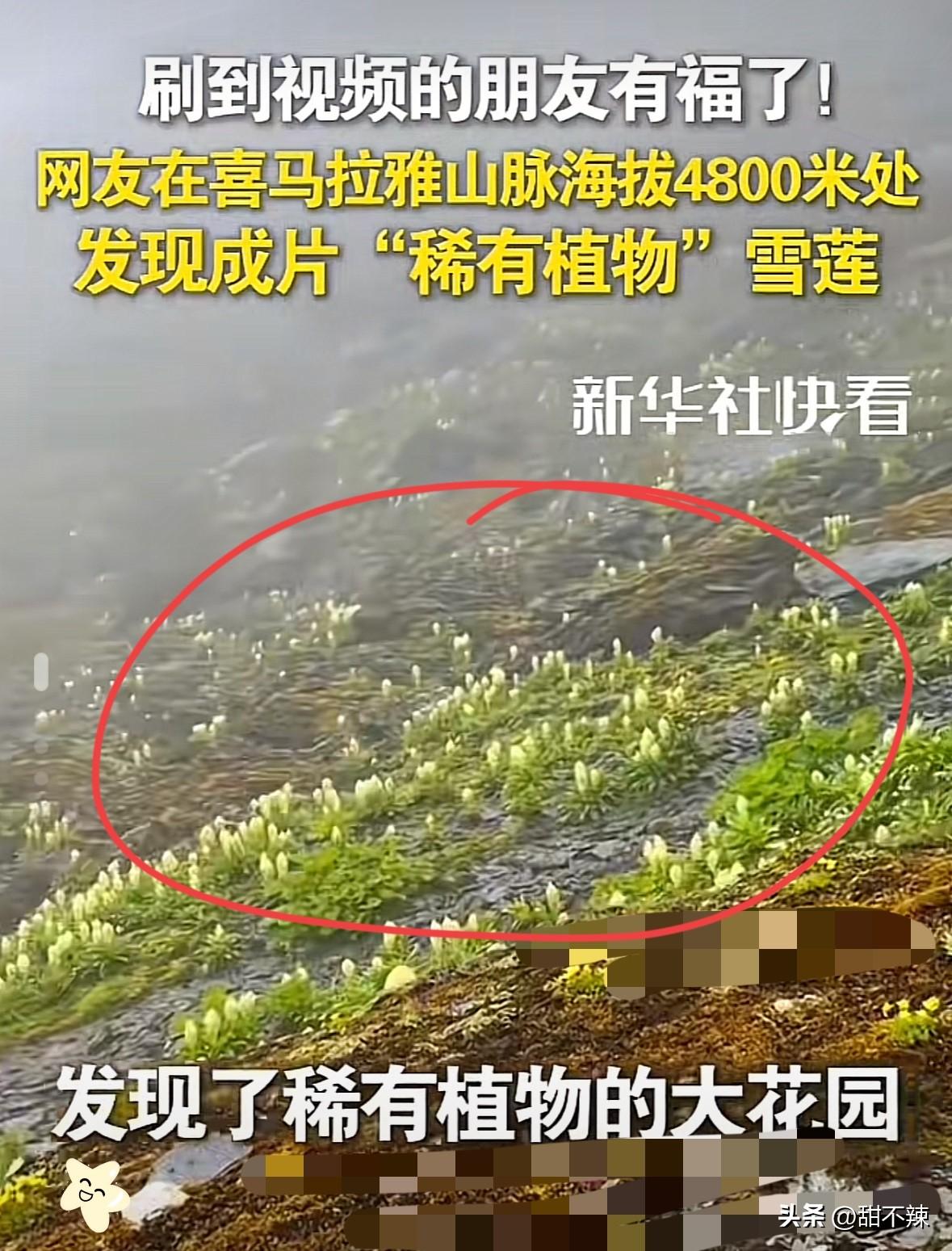 这下好了，不止西藏人知道，
全国人民都知道了！ 
男子在喜马拉雅4800米的险坡