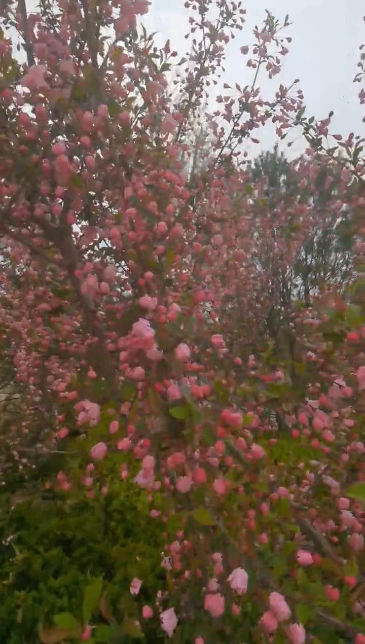 在小城飘啊飘。