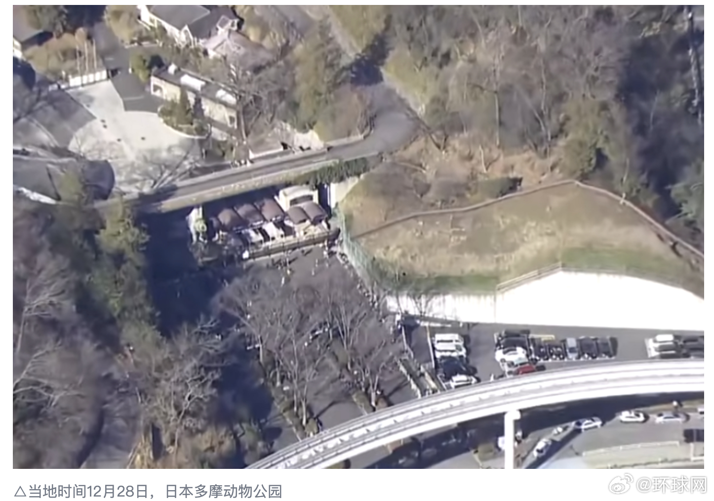 #日本一动物园发生狼逃脱事件#【日本东京多摩动物公园一头狼逃脱】记者当地时间28