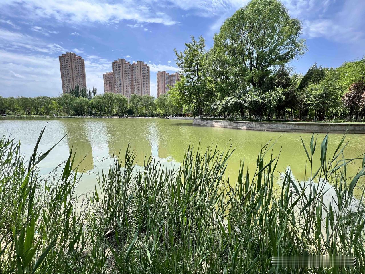 每日分享一句人生感悟在这个世界上，当你能够活着，本身就很幸运。生活不会一帆顺风，