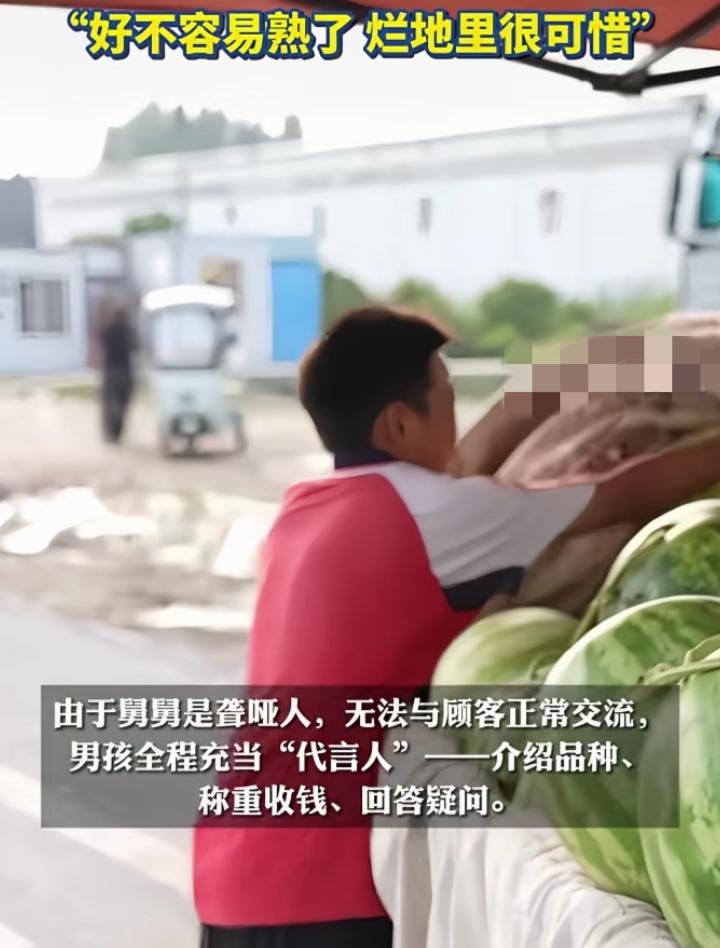 看哭！河南13岁男孩凌晨2点下地，全程当聋哑舅舅的翻译
河南开封13岁男孩帮聋哑