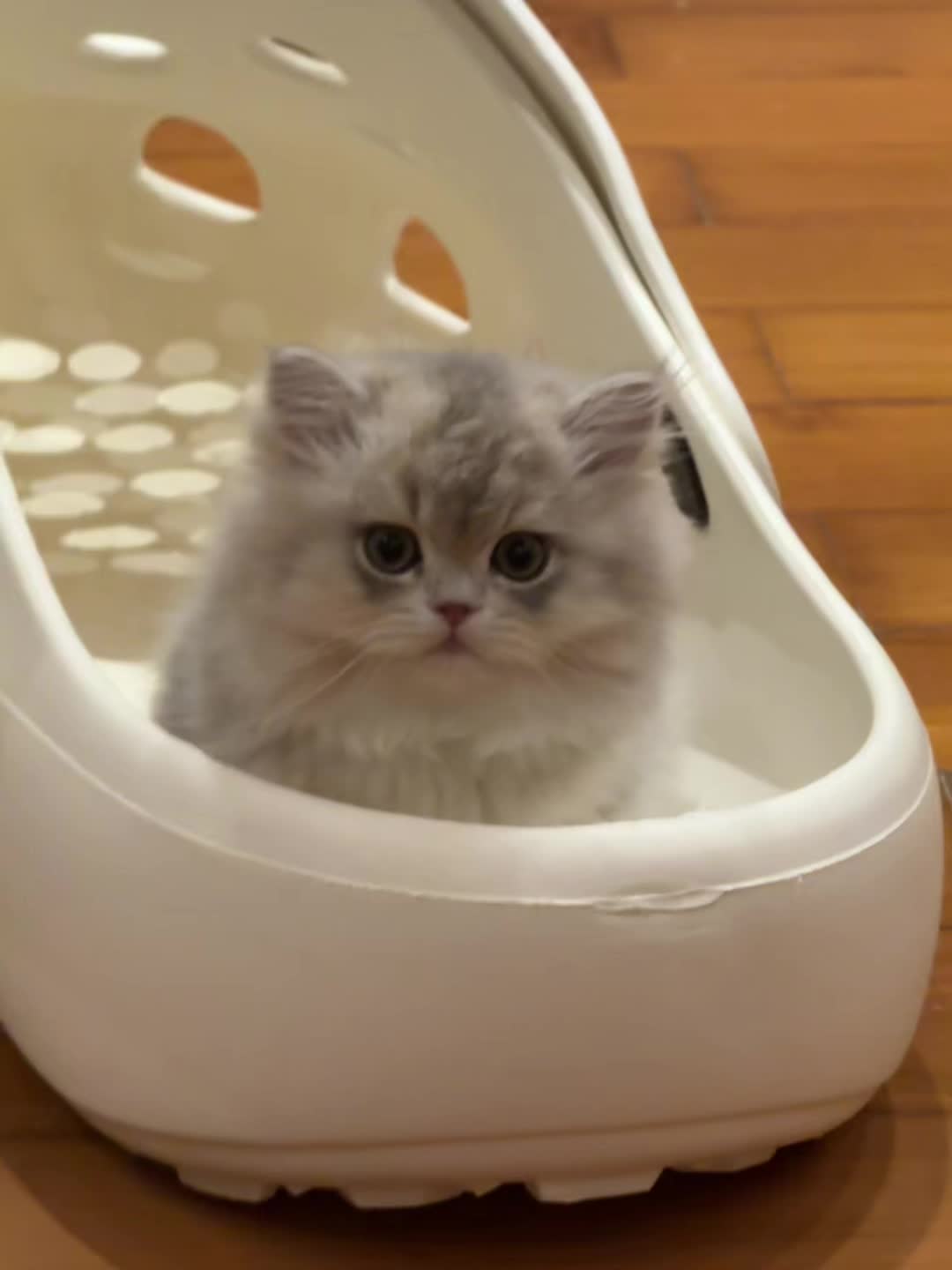 什么？想要一个全是mini的post，来啦！