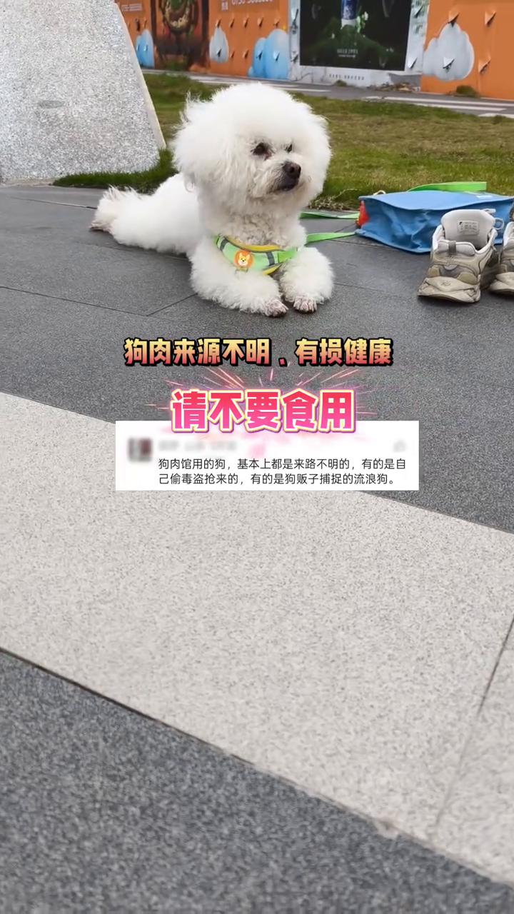 狗肉来源不明，有损健康，请不要食用。
狗肉馆用的狗基本上都是来路不明的，有的是自