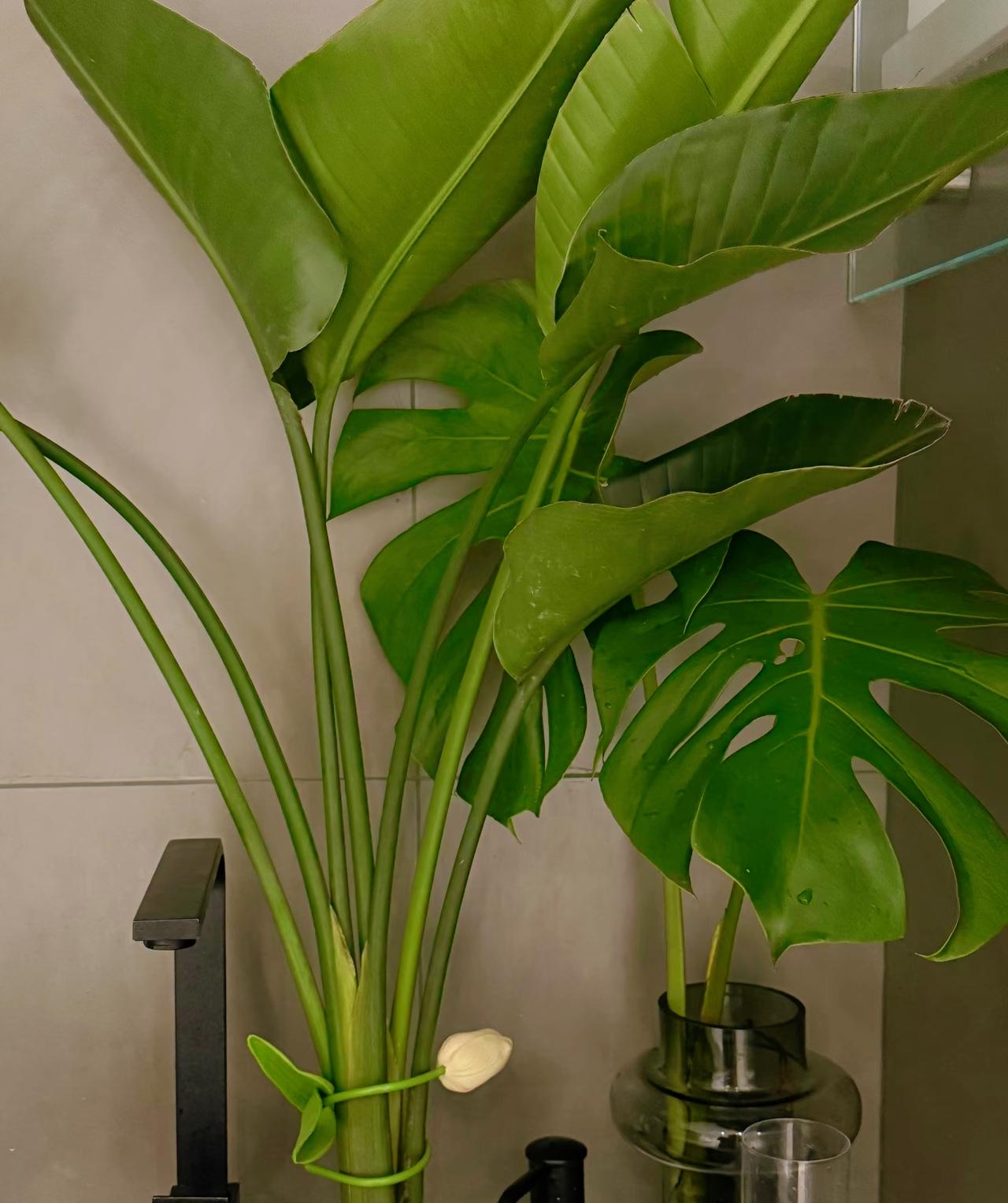 一个社会学家说：
当你手握100万的存款，一辆30万的车，一套无贷的120平住房