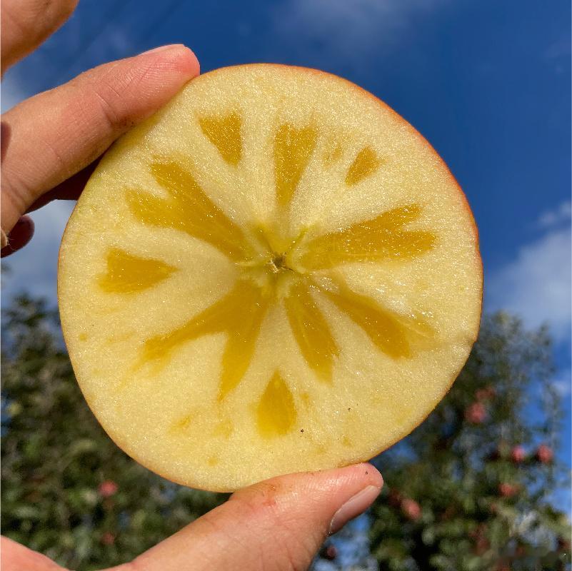 很有苹果味的糖心丑苹果，硬生生把它外表看顺眼了，都要挑最丑的吃，那味道才正宗。糖