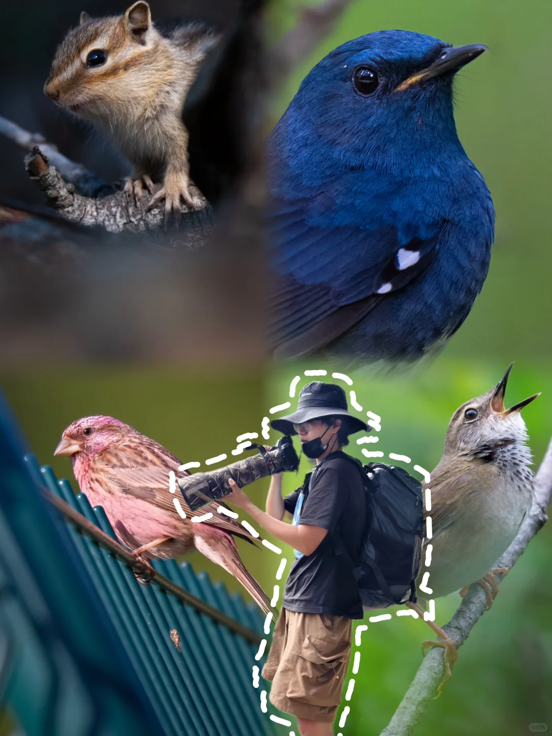 在冬奥滑雪场里，我被多巴胺小鸟包围了！