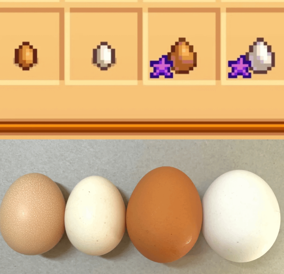 “I found Stardew Valley eggs in real lif