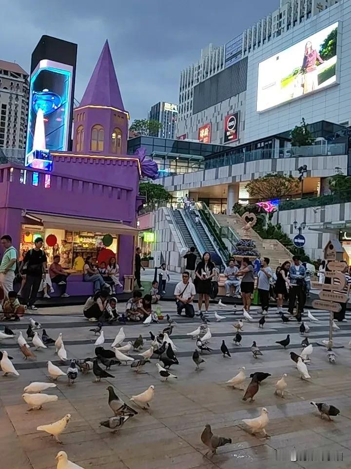 夜色下的城市🏙

鸽子广场