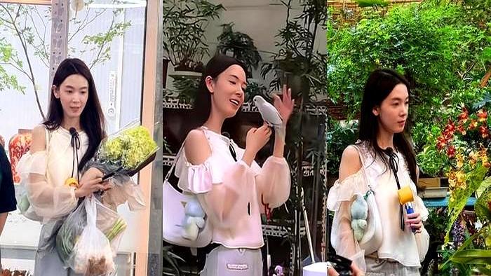 陈瑶大平层背后：慢综艺是温暖还是另类炫耀？ 