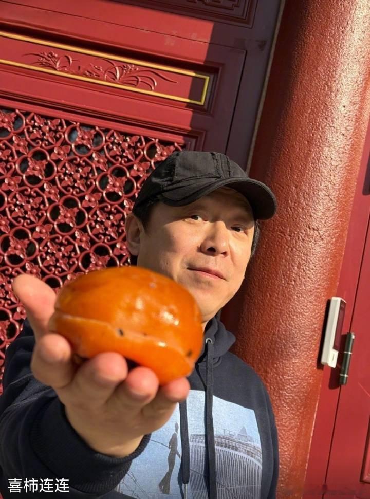 太闲了陪黄渤在这喂喜鹊误入黄渤直播间直接看懵，以为进了观鸟频道！用柿子当诱饵架手