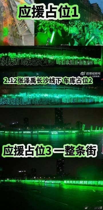 张泽禹绿海 想象舞台被绿海完全覆盖的模样，那是我们能给予张泽禹最震撼的浪漫。所有