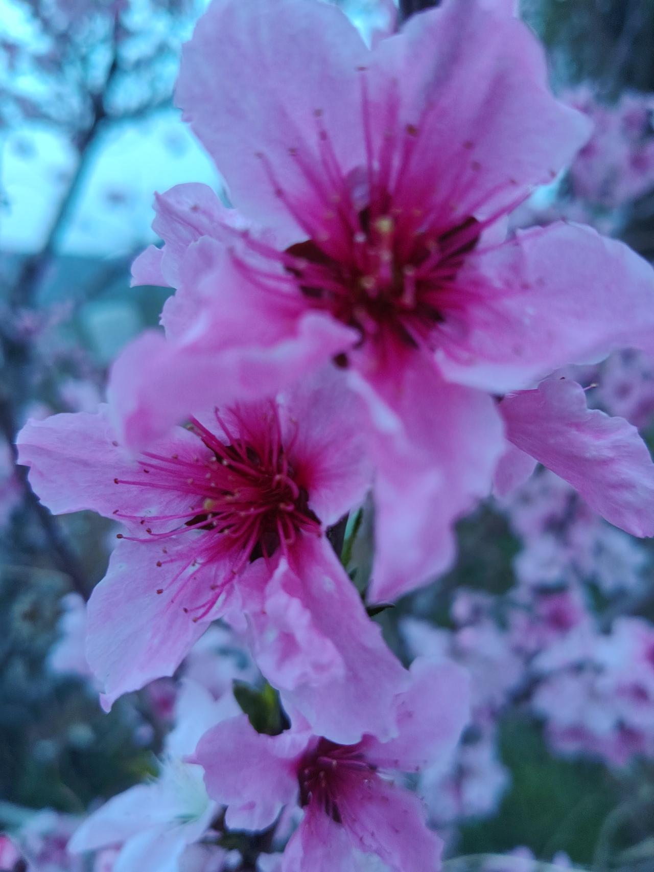 我个人觉得，中国对非洲全面零关税，是双赢的大好事。对非洲来说，农产品、手工艺品、