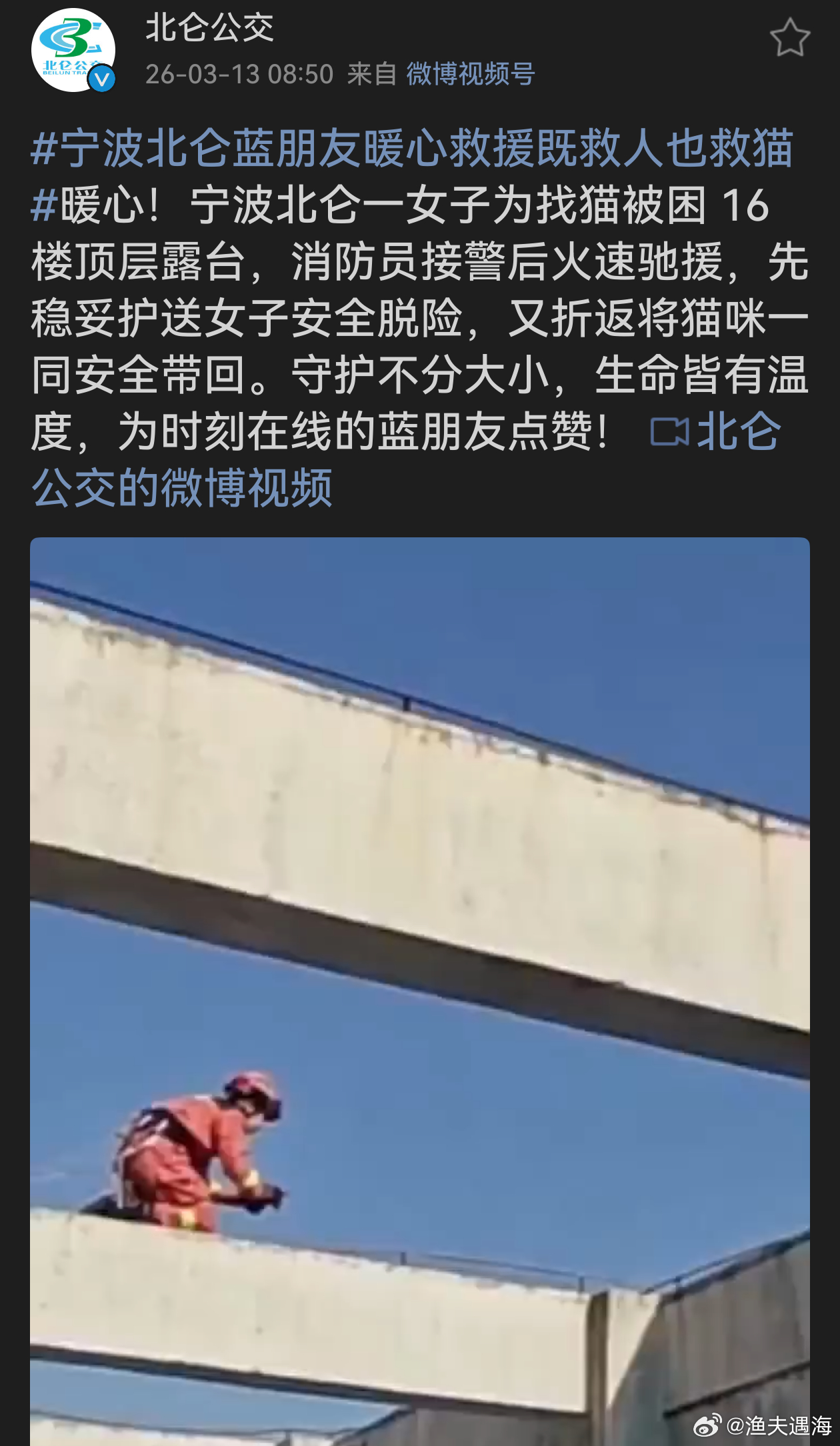 宁波北仑蓝朋友暖心救援既救人也救猫消防员就是生活中的超级英雄！面对女子被困和猫咪