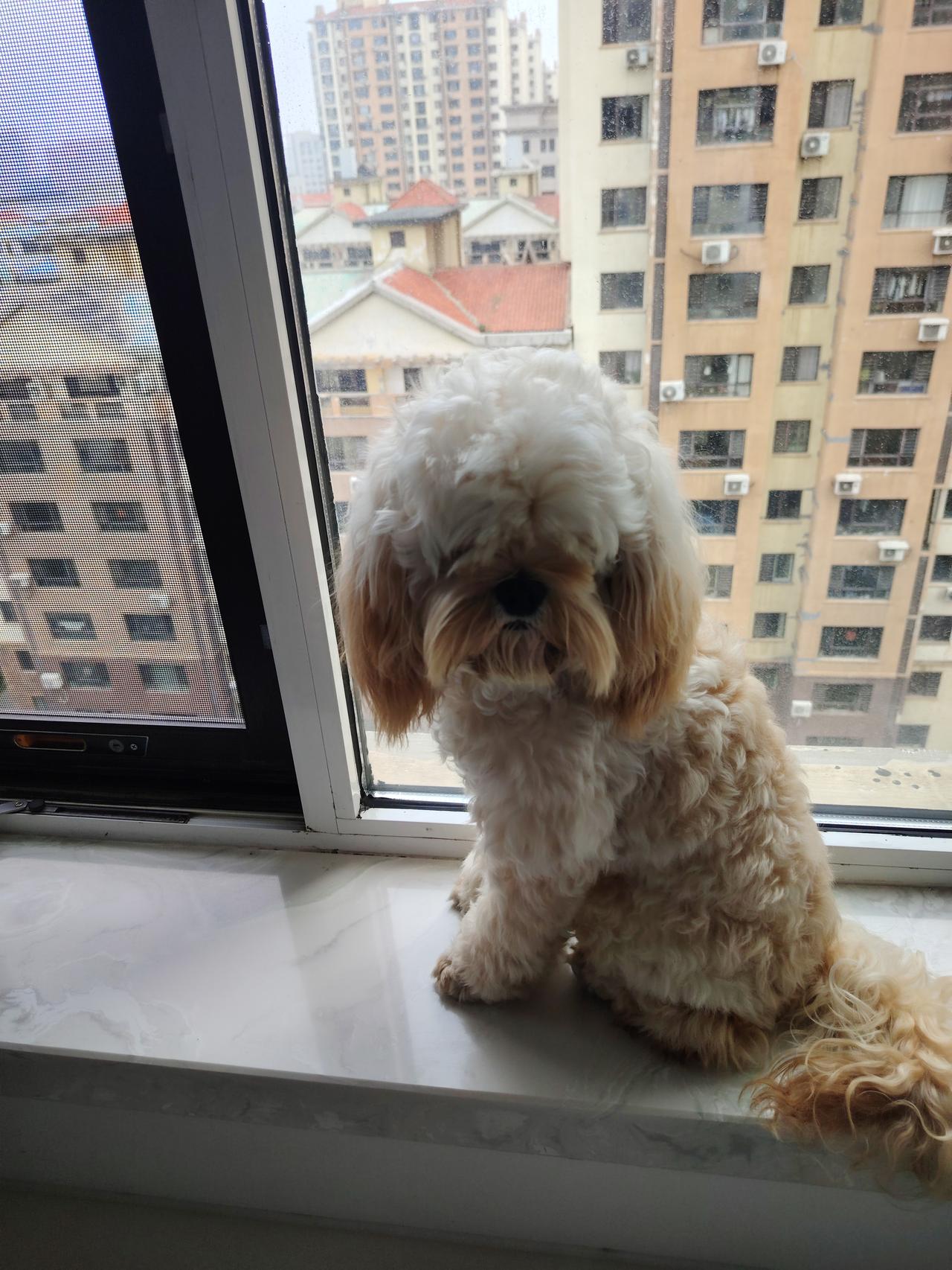 小精灵上线了，看看有没有喜欢的。