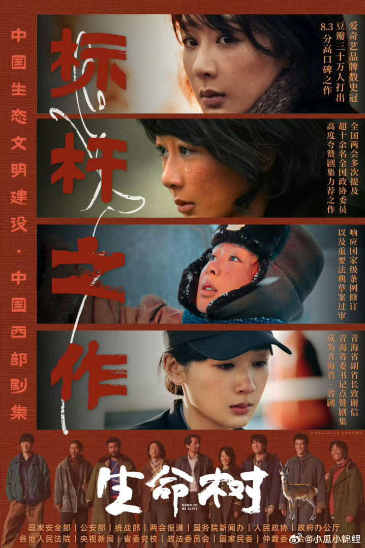 生命树海报做的真牛 