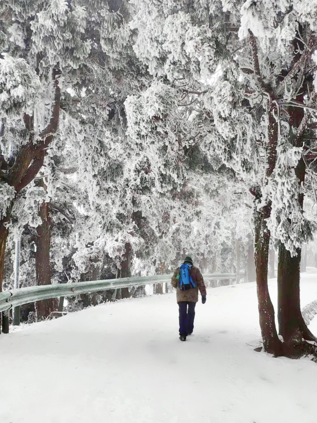 12月南岳衡山看雪，不做攻略真心劝你别去！