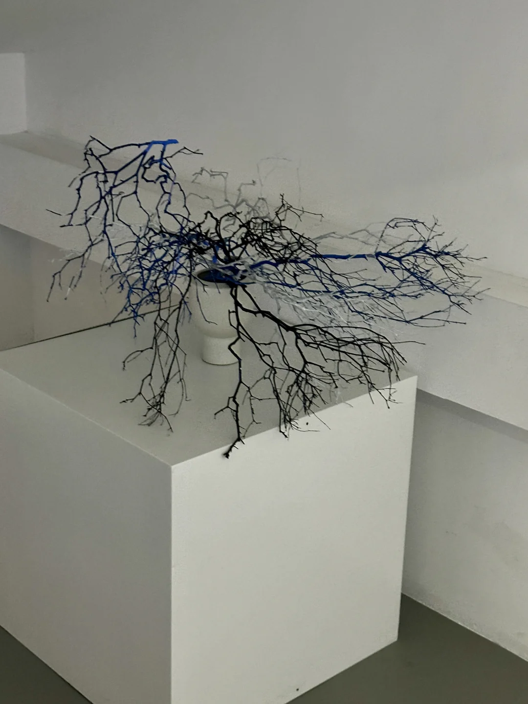 成都新展！被无限放大的我们。。。超震撼巨人展