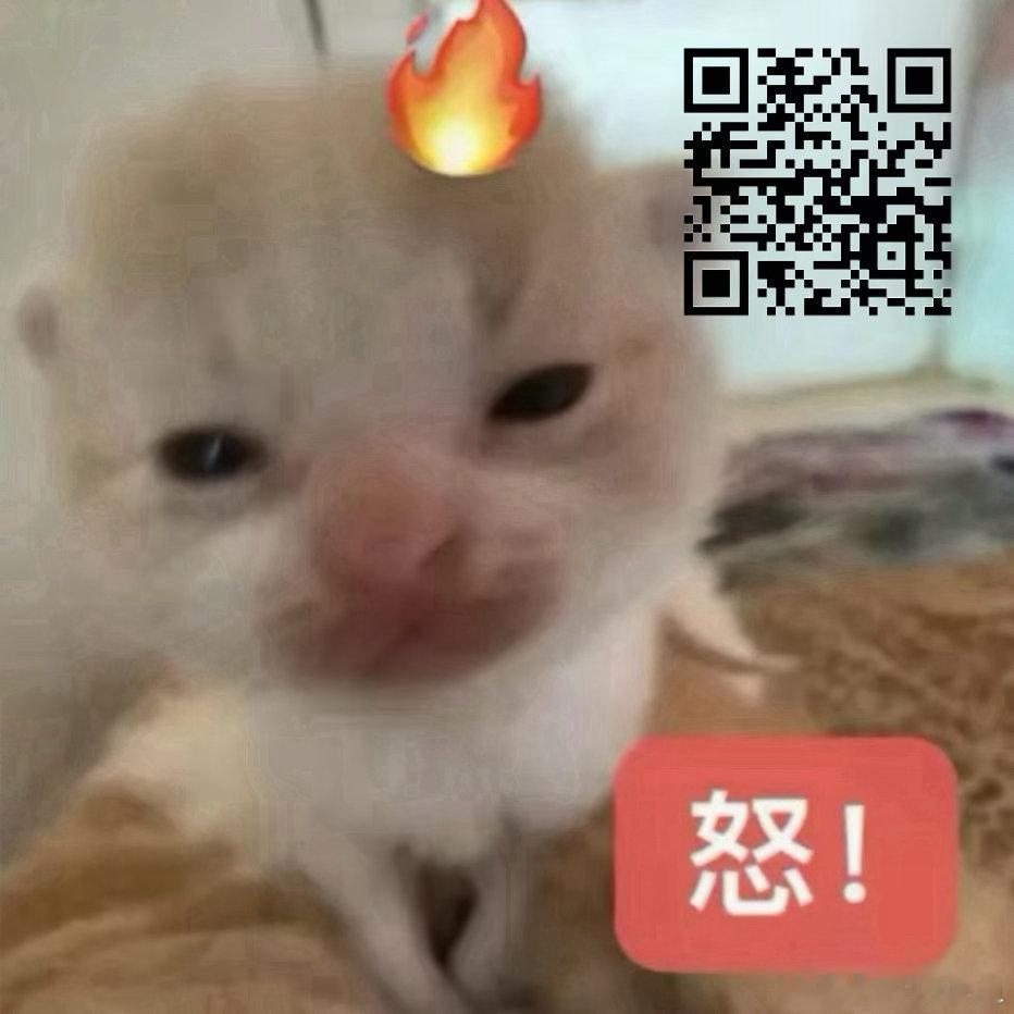 想吃饭后小水果就送1主页2、3 zybl 