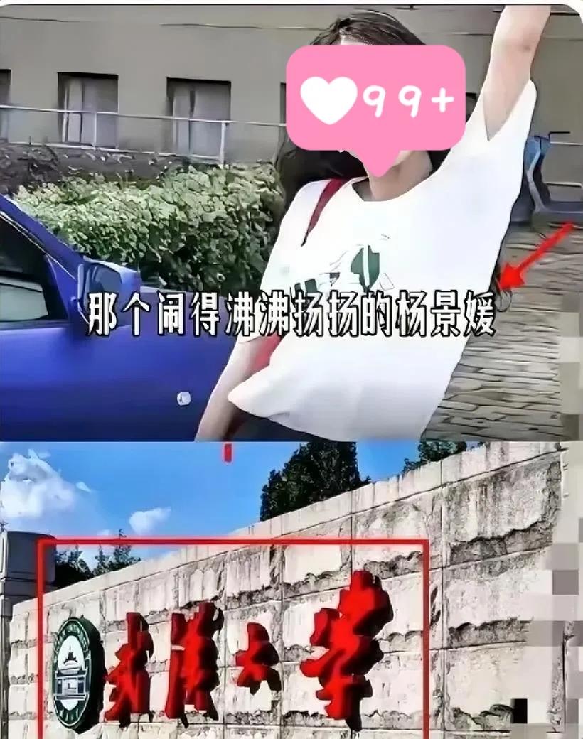 辅导员一句话，真能把学生逼到退学边缘？武大这事儿听完直让人冒冷汗。
 
杨景媛举