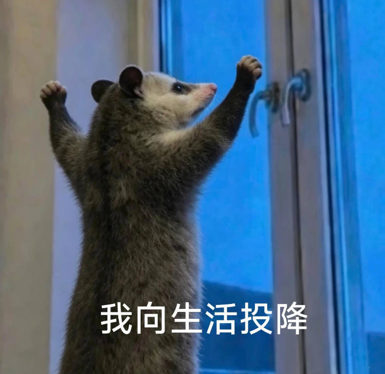 受不了了 能不能快点下班啊 我要回家看🐶🦴 