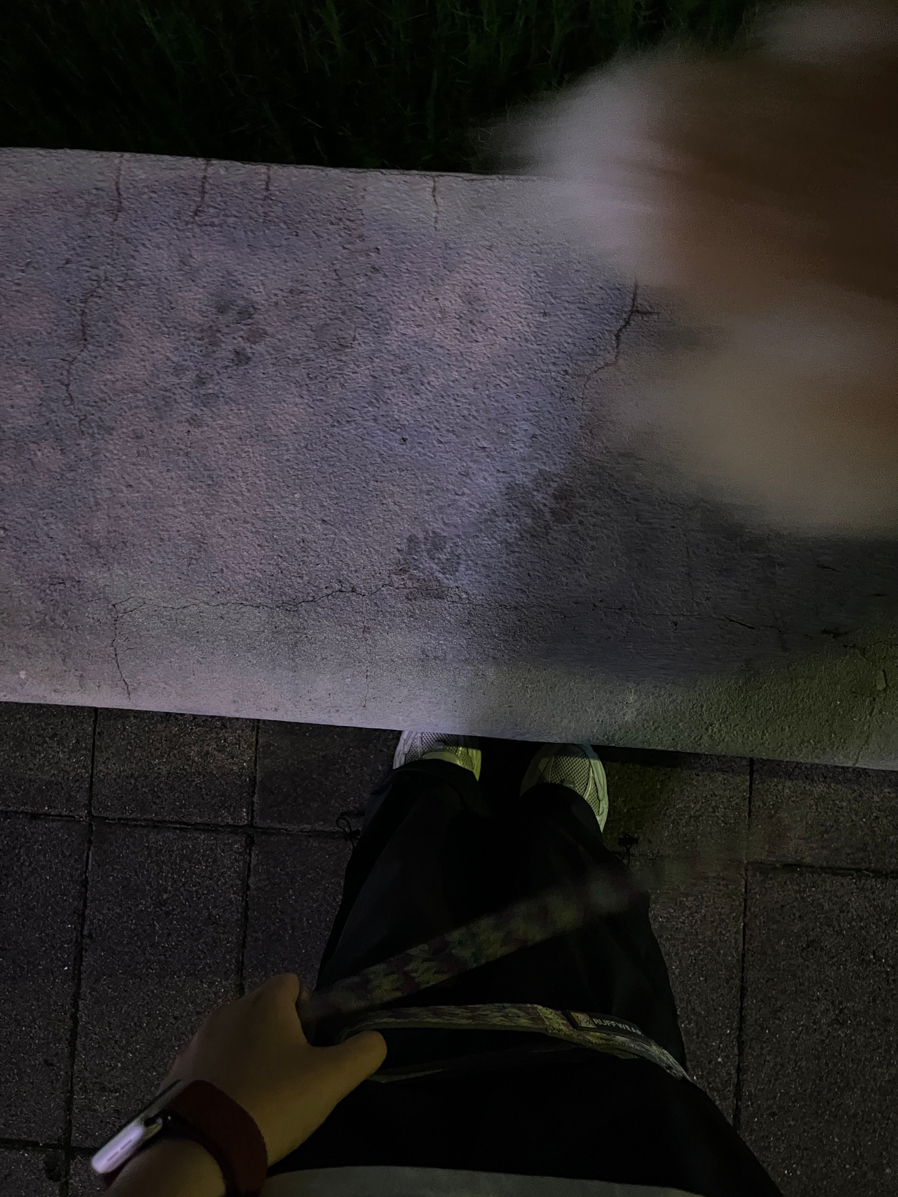 她只是经过… 