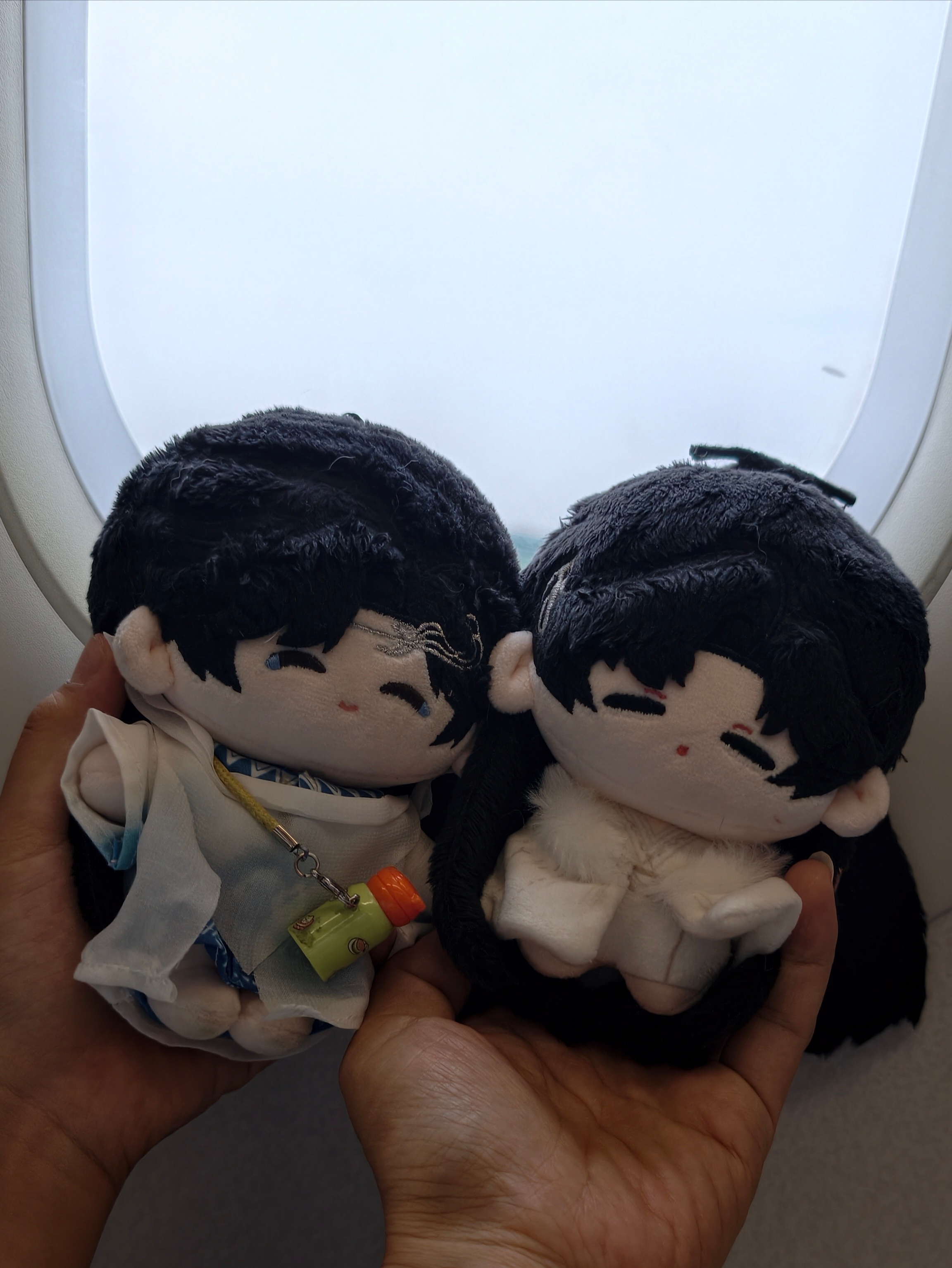 七月第一天，带着王权富贵糯米团子和西西里的富贵少爷，去旅行✈️，愿好事即将发生，