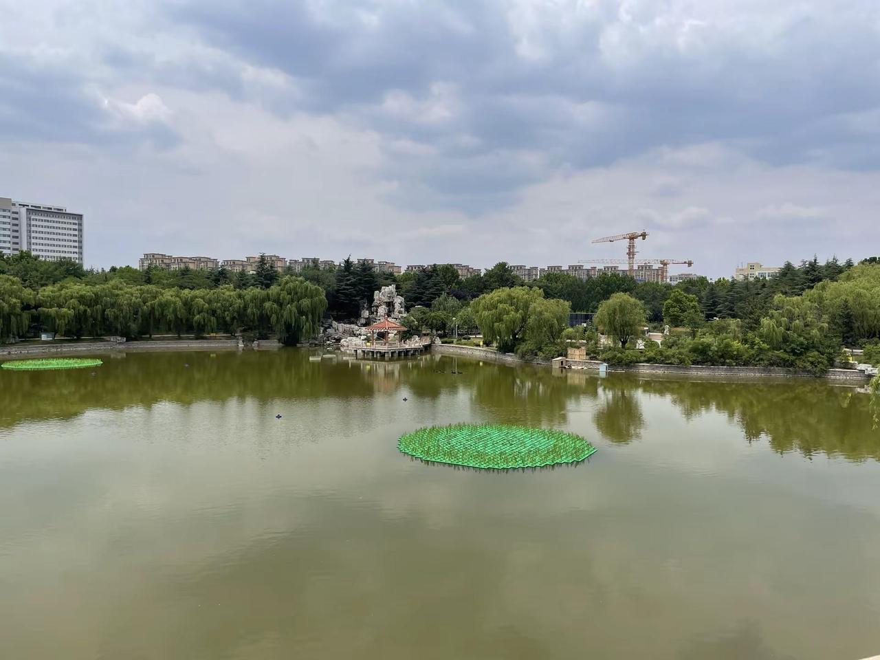 要热爱生活，好好生活呀青岛农业大学 中国石油大学