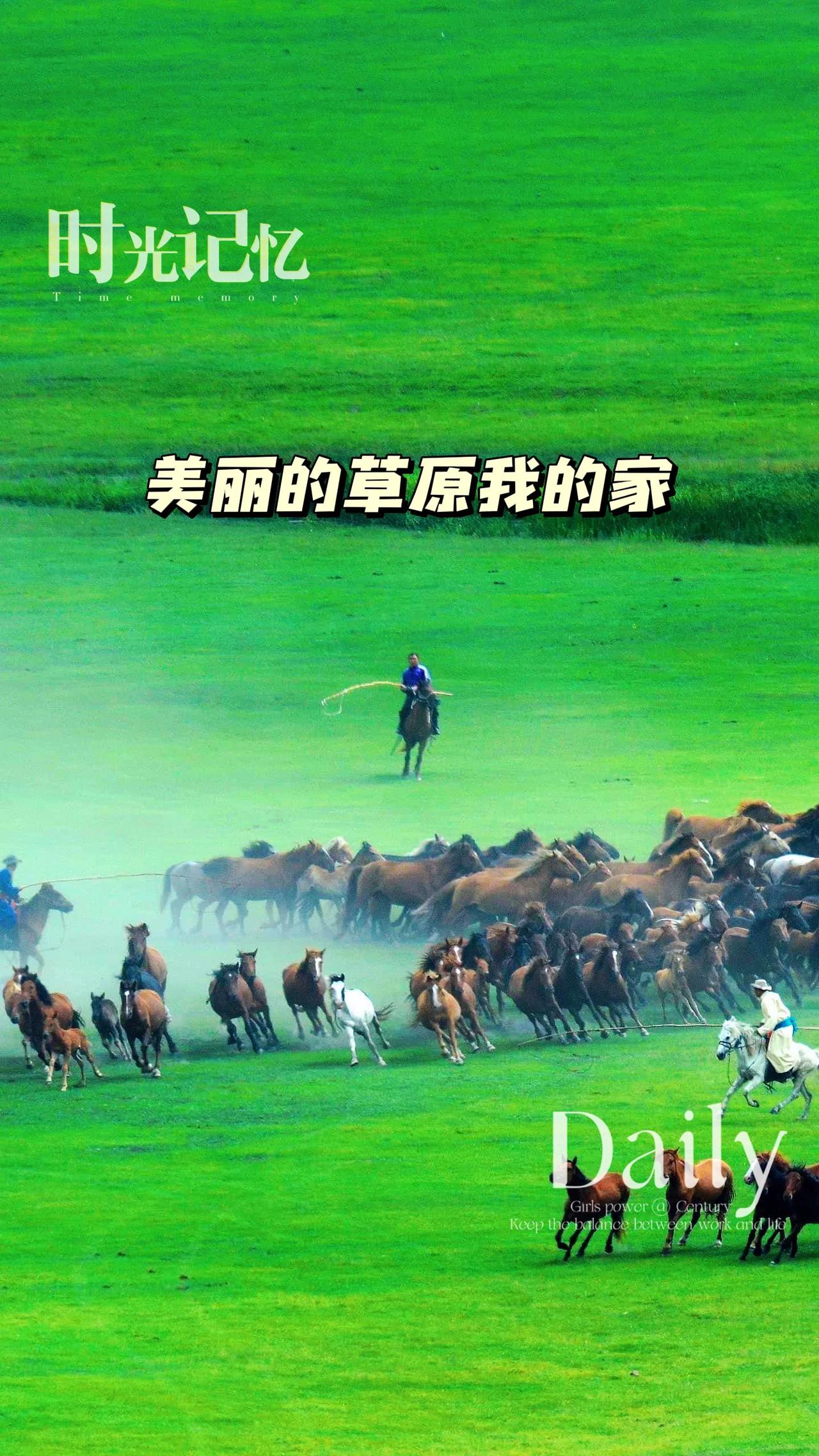 无垠绿色