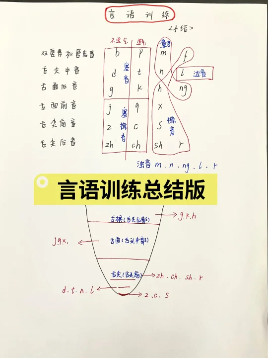 言语训练总结版——【声母、韵母】