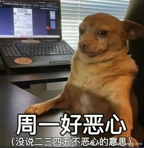 周一有人惹事，我blackpink 