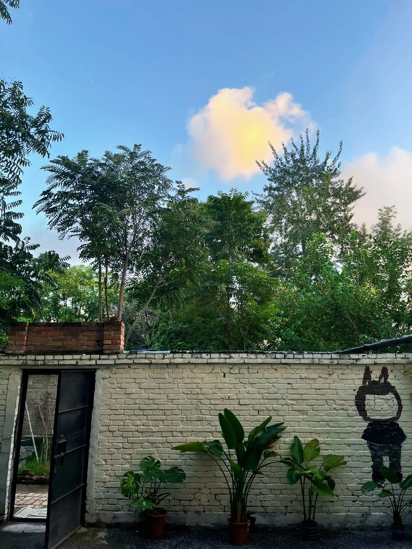 允许情绪低落，允许不完美的自己，接纳自我，治愈自我，愉悦自我～对于不喜...