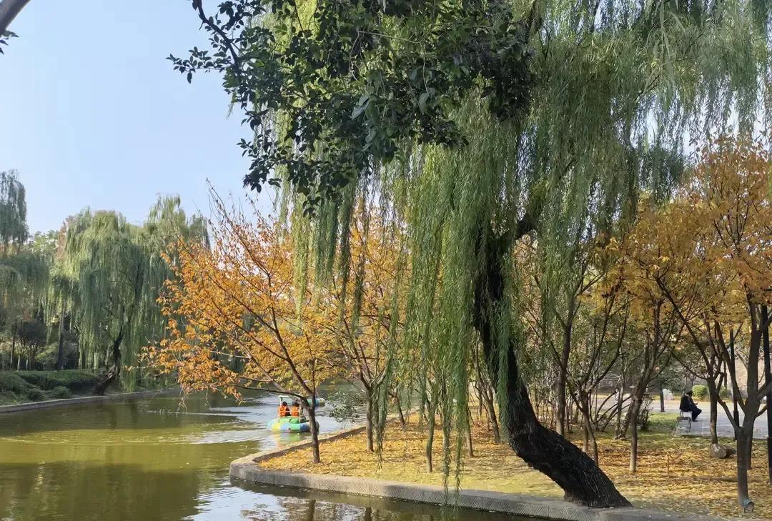 刷到那位穿搭博主说“以前买一堆还是不会穿，现在一年只添十件却天天有新意”，我直接