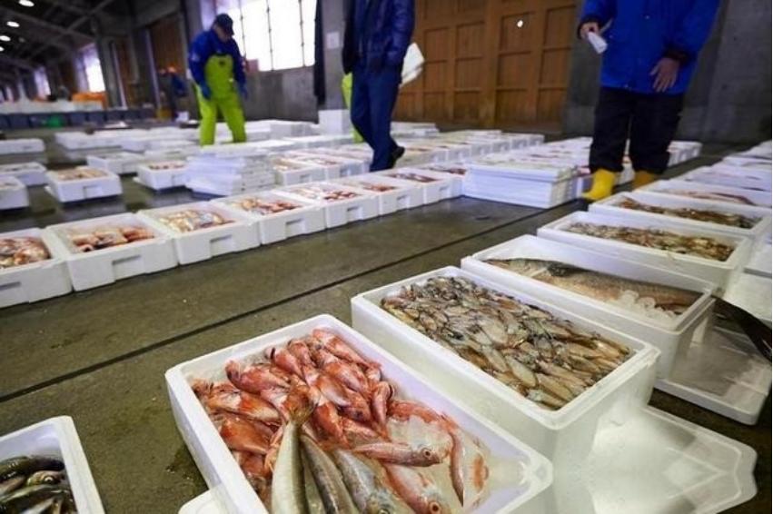 海鲜真安全了？日本排放核水后，奇怪的事发生了：刚开始各国对海鲜避之不及，如今3年