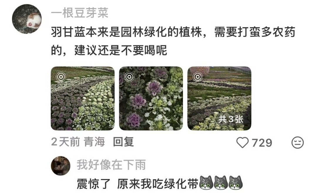 羽衣甘蓝 农药啊？有段时间为了减脂天天喝来着，孩子天塌了[捂嘴哭][捂嘴哭][捂