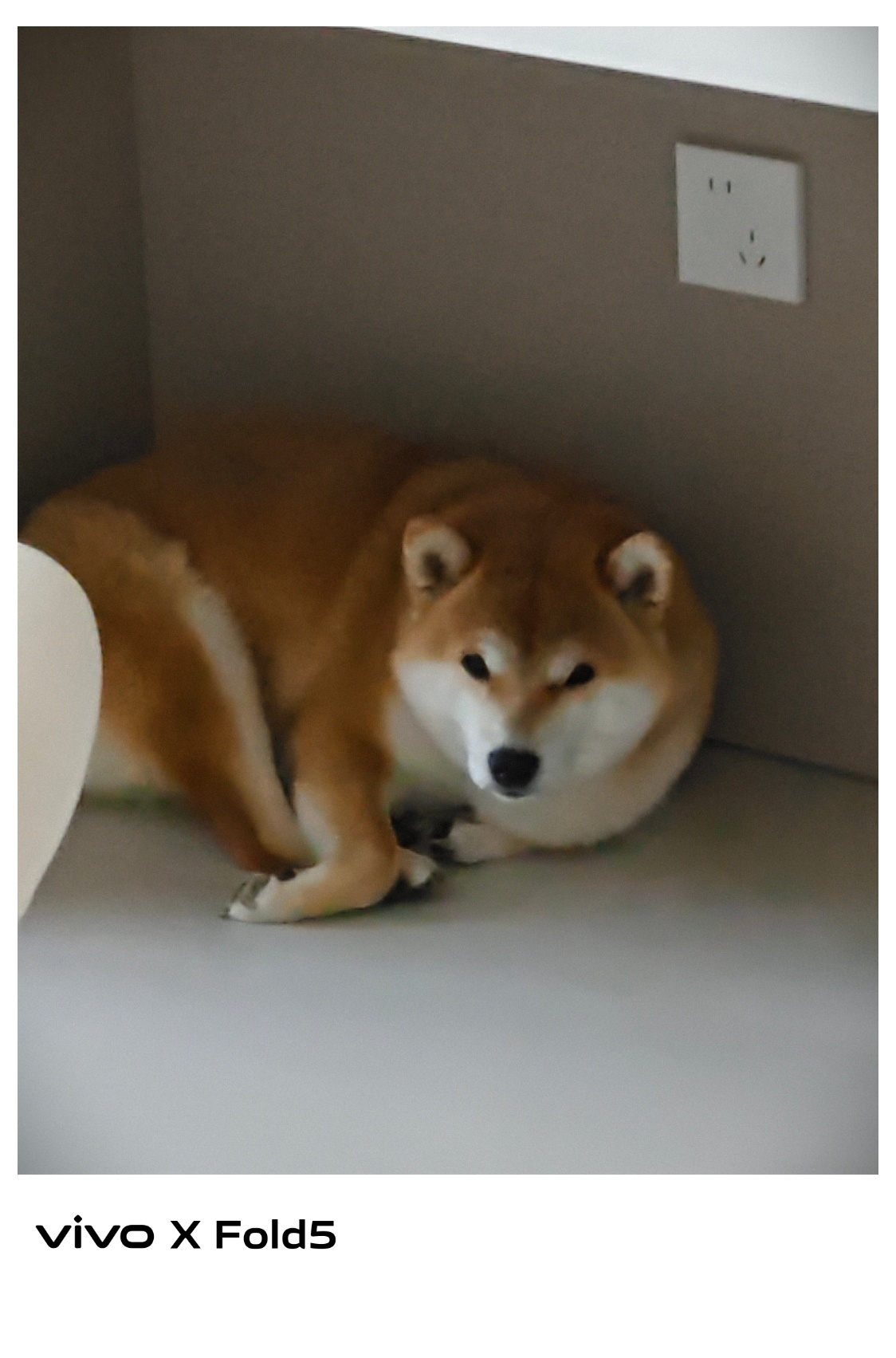 我的刀盾最近老emo这该怎么办