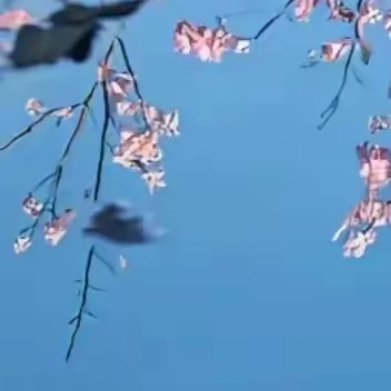 走在巷子里，糖炒栗子的焦香混着新焙的山芋甜味，丝丝缕缕地钻进鼻腔。这味道是暖的，