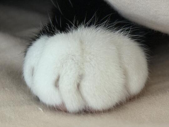 今日要闻