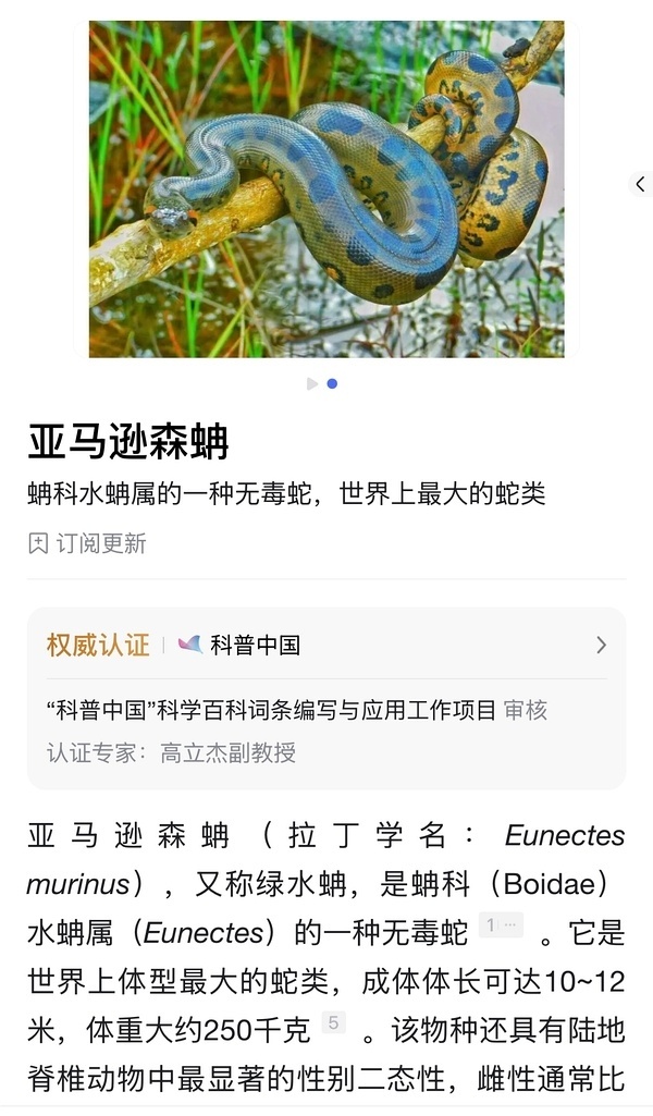 我为抱的🐍不会是这个吧？