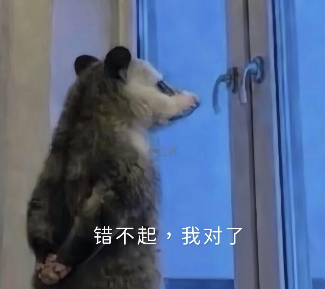 错不起，我对了
负鼠表情包 抽象