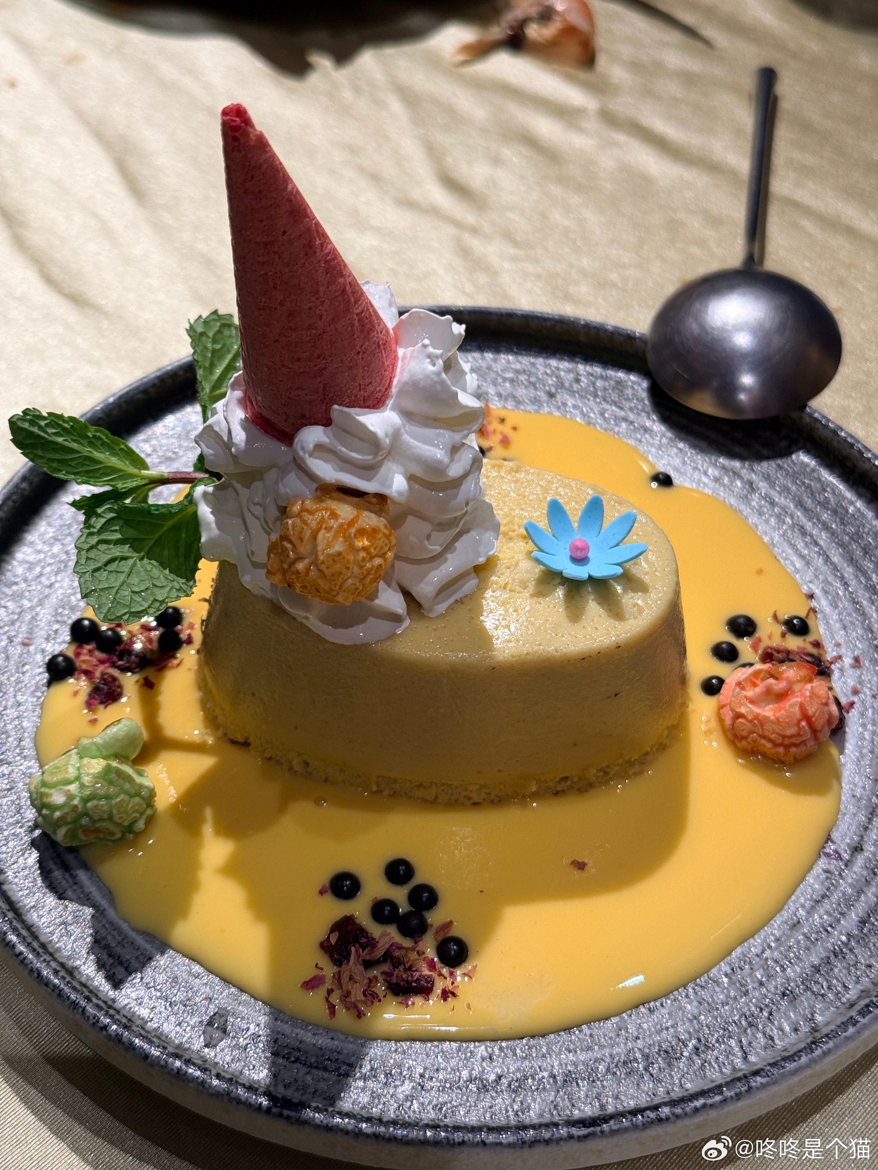 这几天智齿疼，连带着嗓子疼扁桃体疼太阳穴疼耳朵疼，这智齿真🐮🍺美食分享智齿好